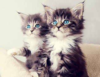 測繪CAD丨批量標注坐標，你不需要嗎？